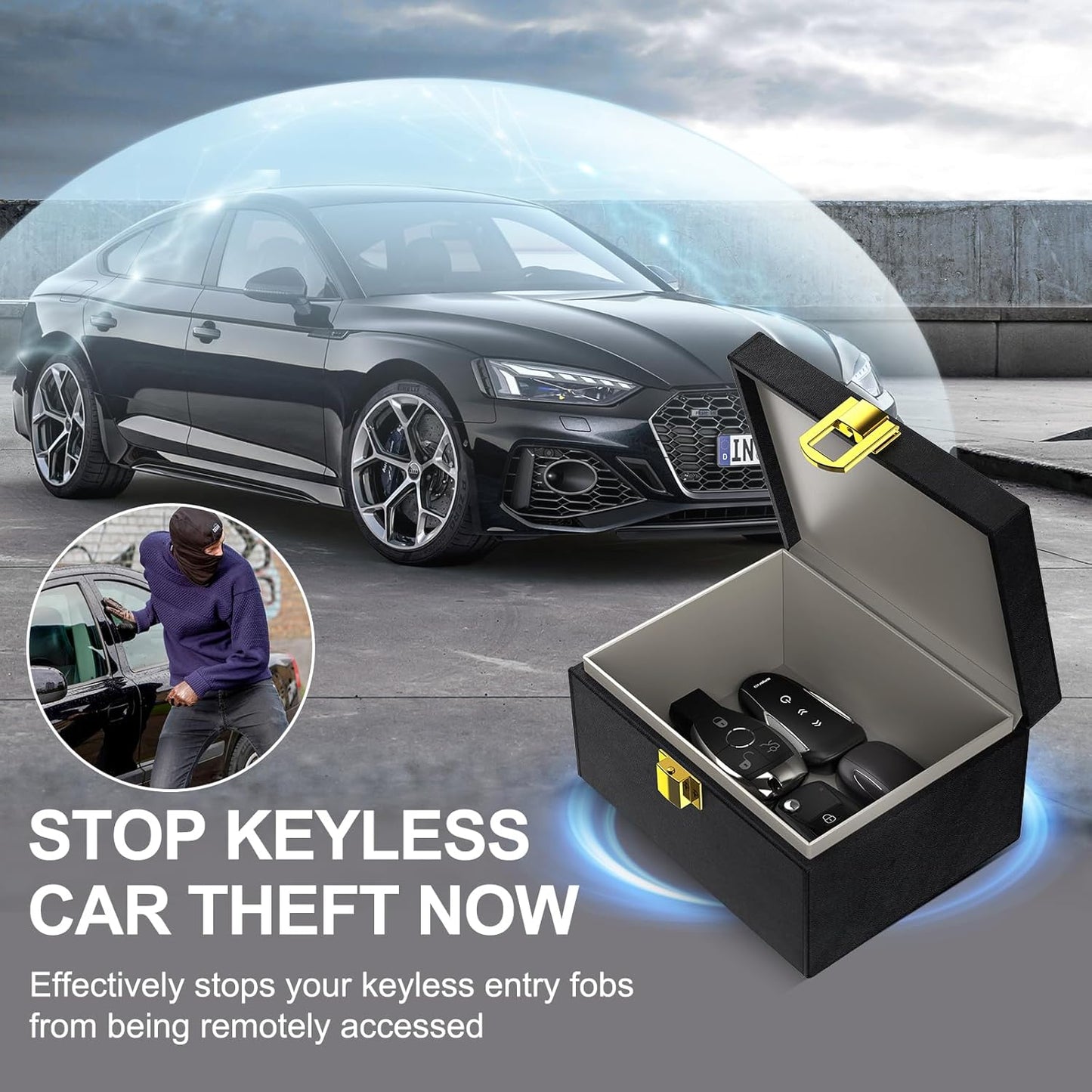 lanpard Faraday Box for Car Keys, Keyless Signal Blocking Anti-Theft Key Protector Signal Blocking Box (Pack of 2)